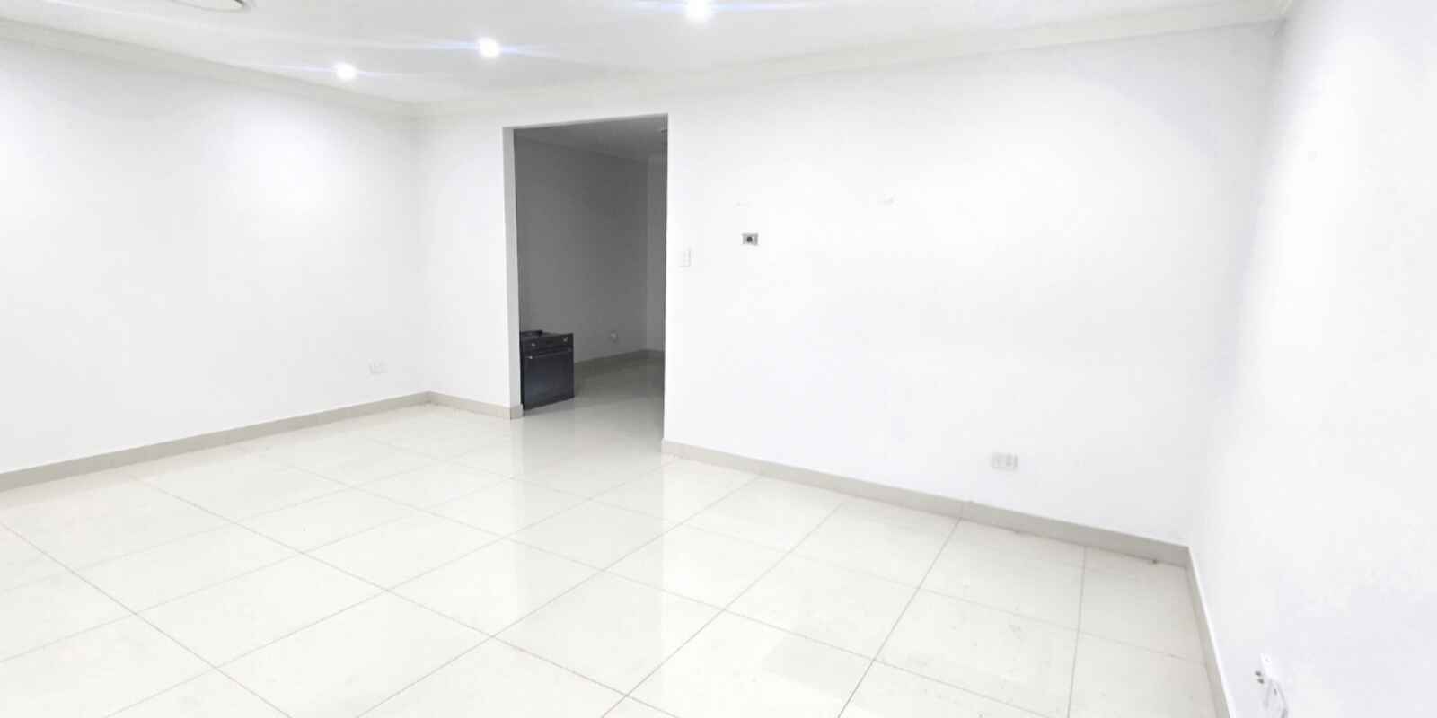 51 Sturt Avenue Georges Hall